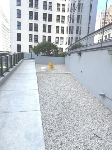 60 E Monroe Street 5601, Chicago, IL 60603
