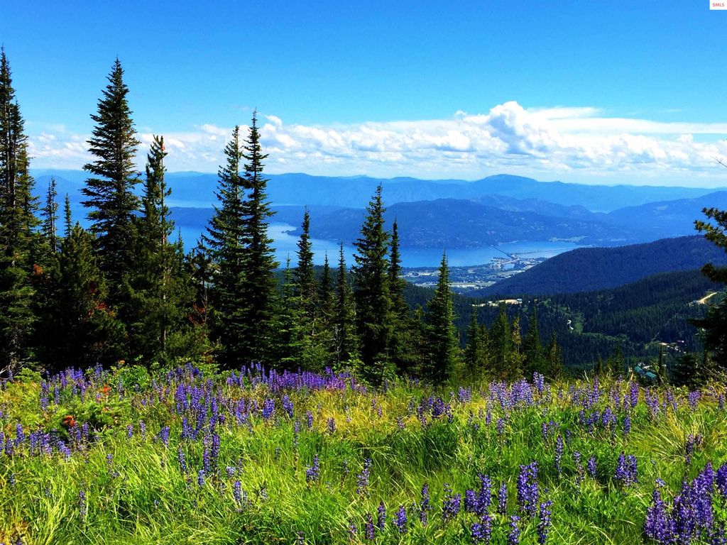 4 Crystal Springs Road, Sandpoint, ID 83864 photo 4