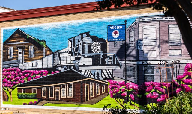 198 Hank Way, Angier, NC 27501