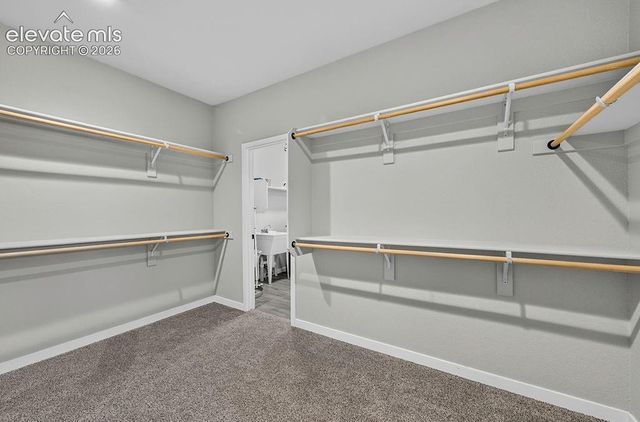 491 Blanket Flower Street, Calhan, CO 80808