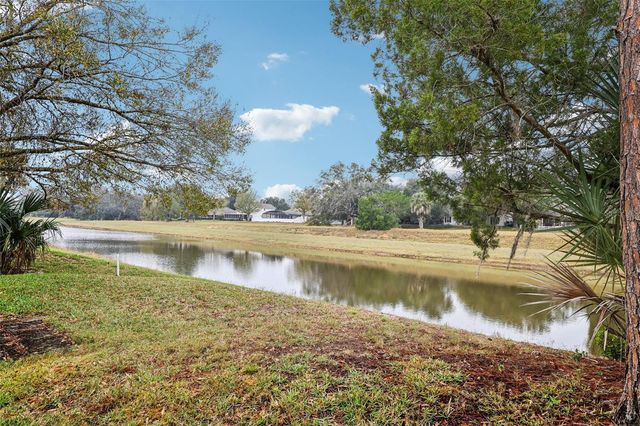 239 JUNIPER WAY, Tavares, FL 32778