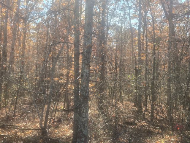 0 Waterloo Road, Westpoint, TN 38486