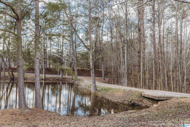 149 COUNTY HIGHWAY 29, Oneonta, AL 35121