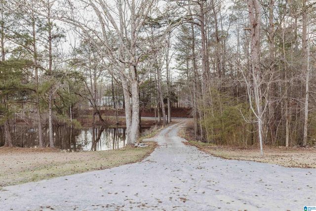 149 COUNTY HIGHWAY 29, Oneonta, AL 35121