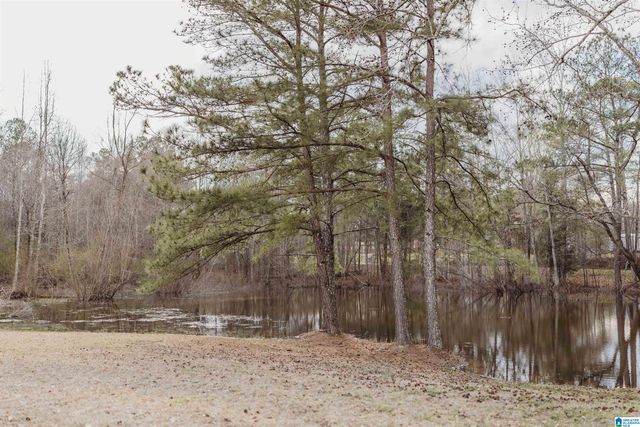 149 COUNTY HIGHWAY 29, Oneonta, AL 35121