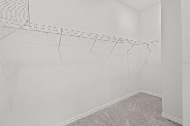 32326 CONCHSHELL SAIL STREET, Wesley Chapel, FL 33545