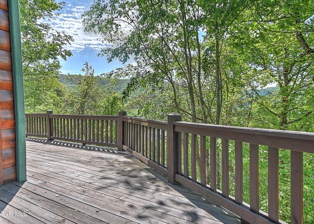 375 Lake Cabin Lane, Butler, TN 37640