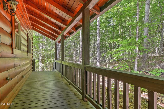 375 Lake Cabin Lane, Butler, TN 37640