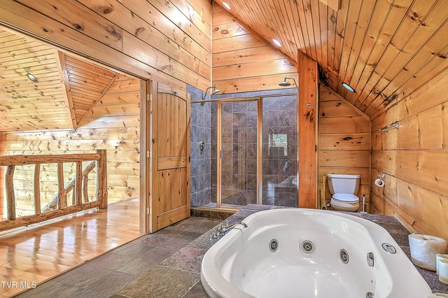 375 Lake Cabin Lane, Butler, TN 37640