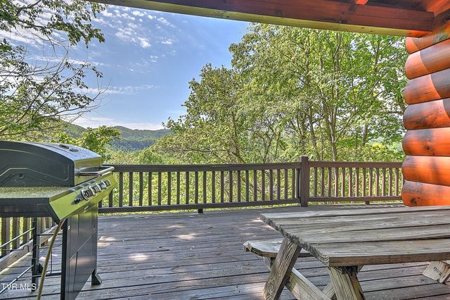 375 Lake Cabin Lane, Butler, TN 37640