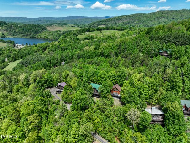 375 Lake Cabin Lane, Butler, TN 37640
