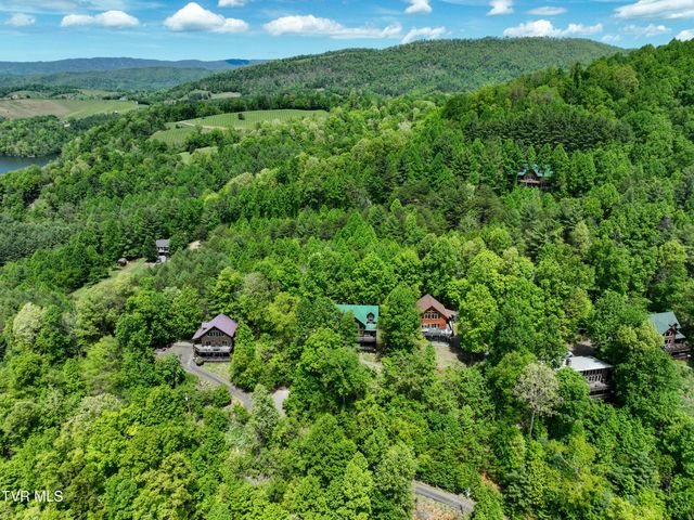 375 Lake Cabin Lane, Butler, TN 37640