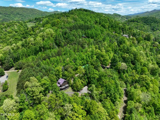 375 Lake Cabin Lane, Butler, TN 37640