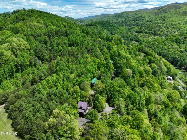 375 Lake Cabin Lane, Butler, TN 37640