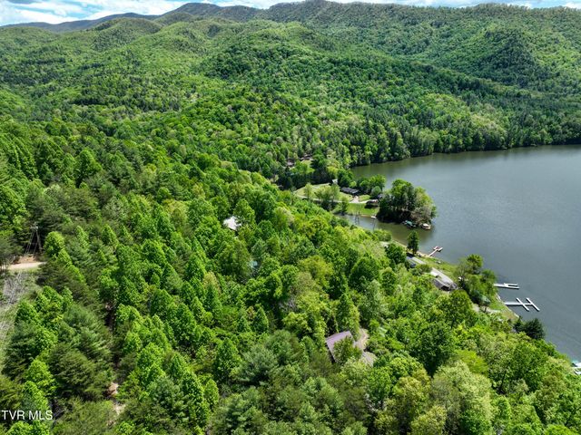 375 Lake Cabin Lane, Butler, TN 37640