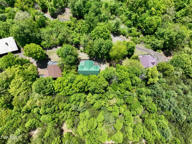375 Lake Cabin Lane, Butler, TN 37640