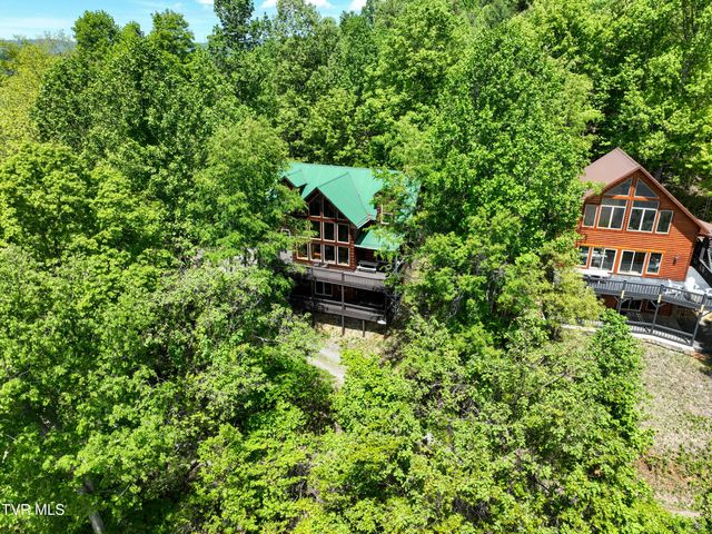 375 Lake Cabin Lane, Butler, TN 37640