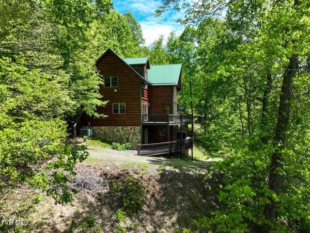 375 Lake Cabin Lane, Butler, TN 37640