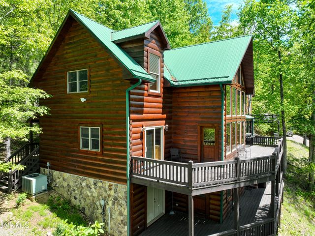 375 Lake Cabin Lane, Butler, TN 37640