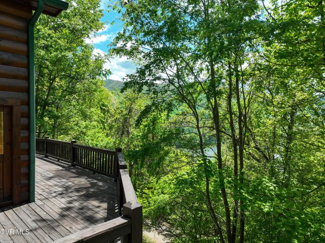 375 Lake Cabin Lane, Butler, TN 37640
