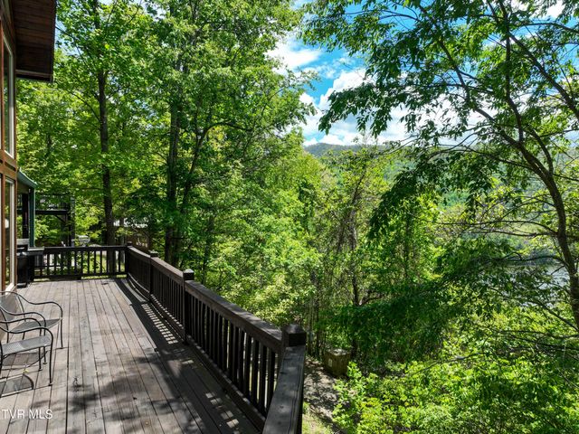 375 Lake Cabin Lane, Butler, TN 37640