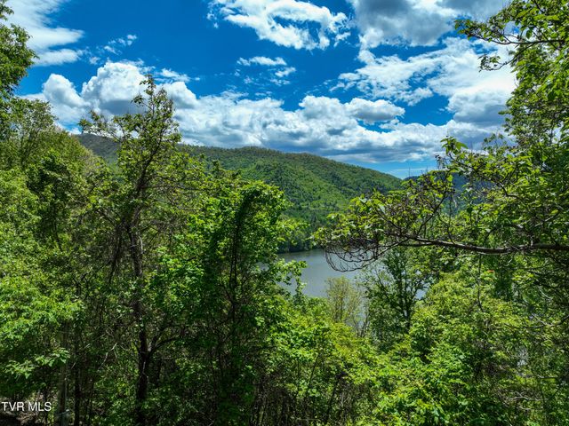 375 Lake Cabin Lane, Butler, TN 37640