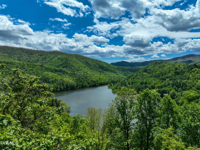 375 Lake Cabin Lane, Butler, TN 37640