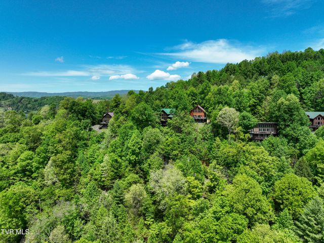 375 Lake Cabin Lane, Butler, TN 37640