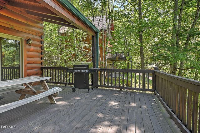 375 Lake Cabin Lane, Butler, TN 37640