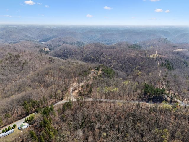 1529 Pea Ridge Rd, Liberty, TN 37095