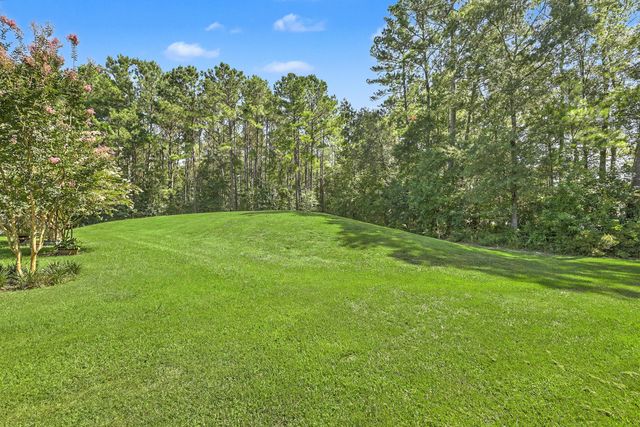 1519 Migration Point, Summerville, SC 29483