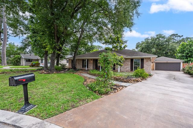 28923 Pine Hill Drive, Shenandoah, TX 77381