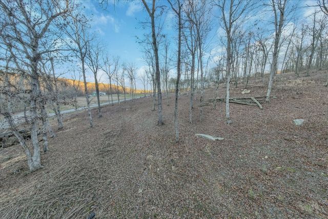 0 Dykes Hollow Rd, Jasper, TN 37347