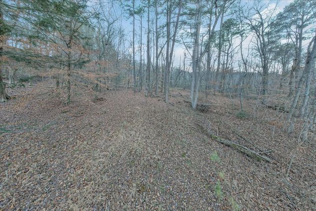 0 Dykes Hollow Rd, Jasper, TN 37347