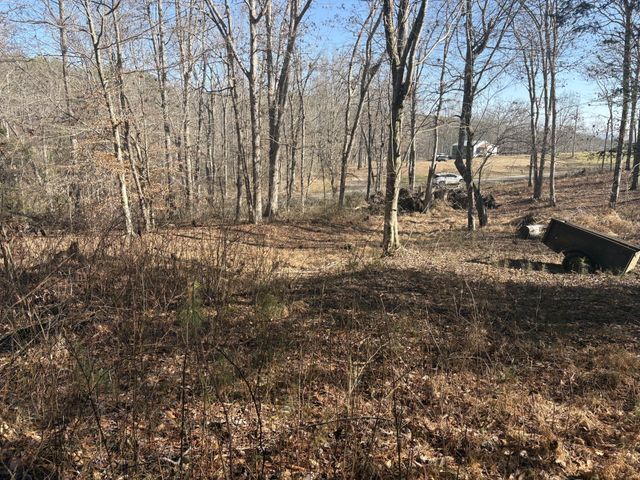 0 Dykes Hollow Rd, Jasper, TN 37347