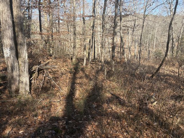 0 Dykes Hollow Rd, Jasper, TN 37347