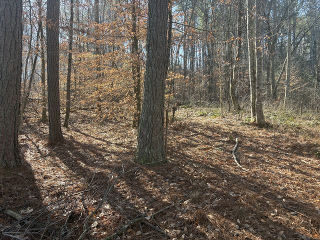 0 Dykes Hollow Rd, Jasper, TN 37347