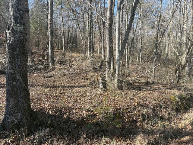 0 Dykes Hollow Rd, Jasper, TN 37347