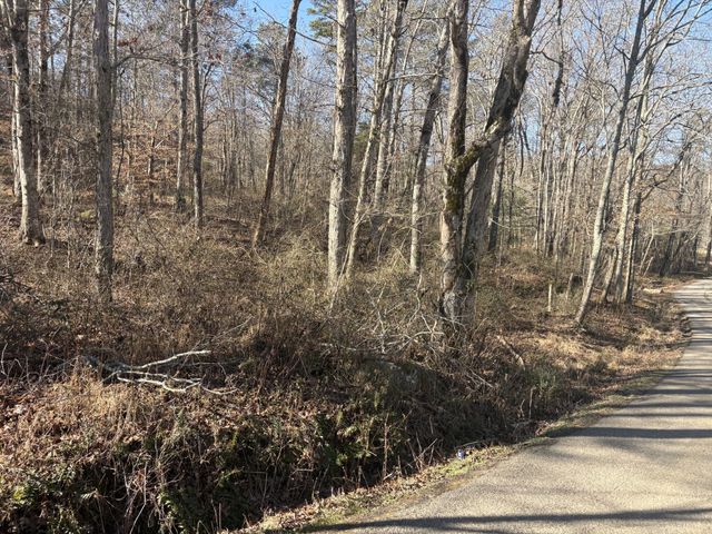 0 Dykes Hollow Rd, Jasper, TN 37347