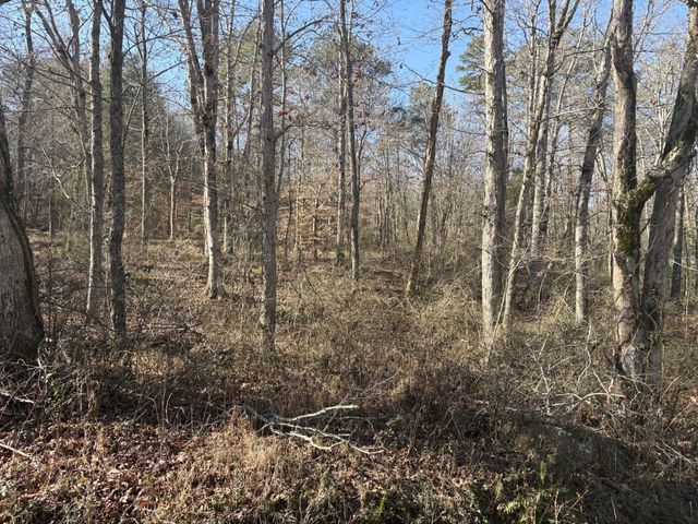 0 Dykes Hollow Rd, Jasper, TN 37347