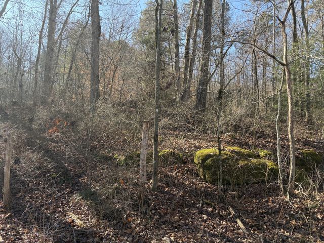 0 Dykes Hollow Rd, Jasper, TN 37347