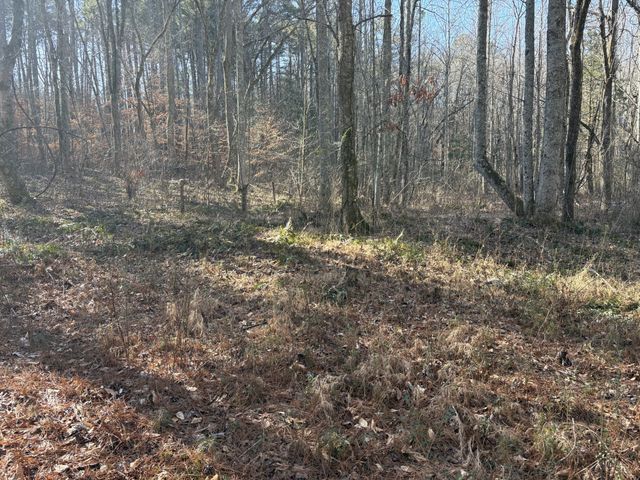 0 Dykes Hollow Rd, Jasper, TN 37347
