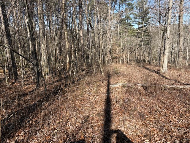 0 Dykes Hollow Rd, Jasper, TN 37347