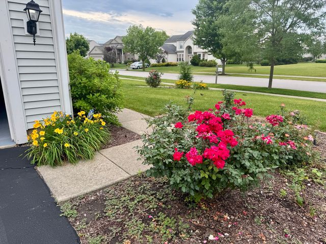 12901 Norwich Street, Plainfield, IL 60585