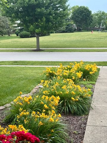 12901 Norwich Street, Plainfield, IL 60585