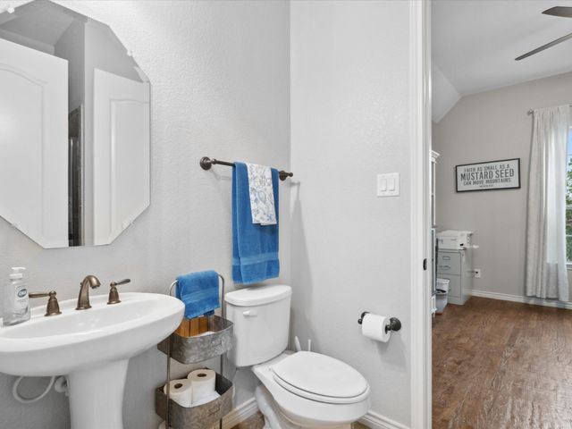 25459 Dove Hollow Drive, Justin, TX 76247