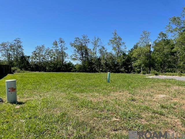 17457 Bull Rush Ave, Prairieville, LA 70769