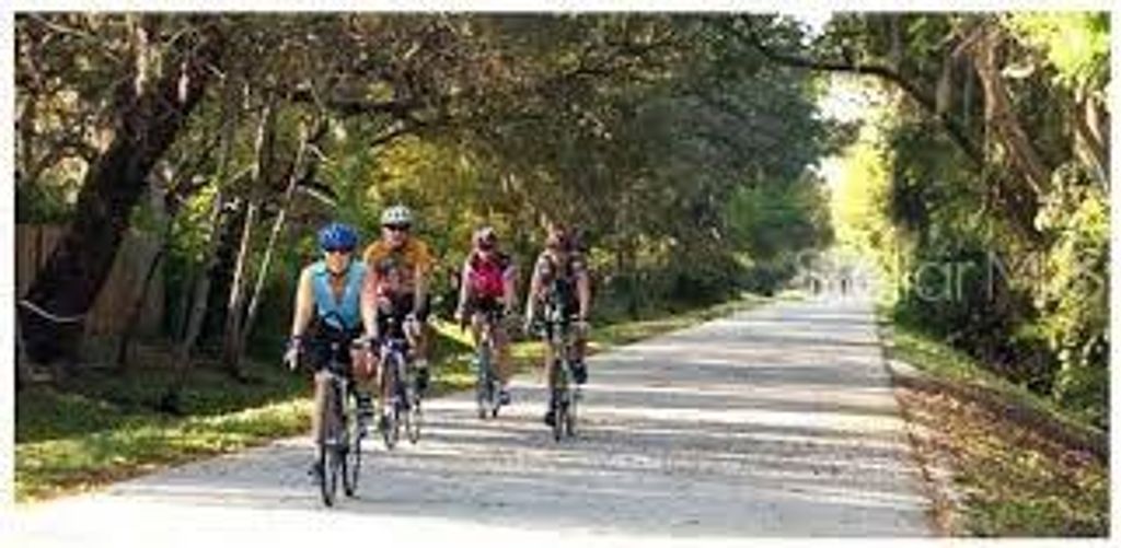 Image 13 of property listing at 1522 HAVERHILL DRIVE, New Port Richey, FL 34655