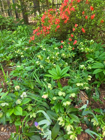 115 Persimmon Hill Road, Pittsboro, NC 27312