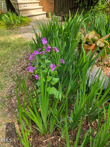 115 Persimmon Hill Road, Pittsboro, NC 27312